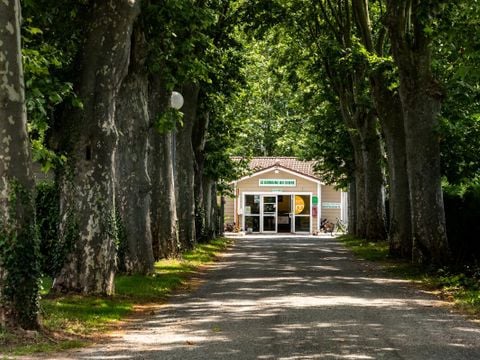 Camping  Le Domaine du Cèdre - Camping Tarn - Image N°20