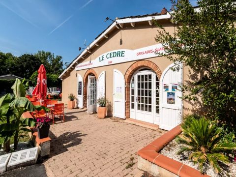 Camping  Le Domaine du Cèdre - Camping Tarn - Image N°19