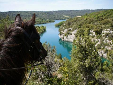 Camping le Domaine de Chanteraine   - Camping Var - Image N°70