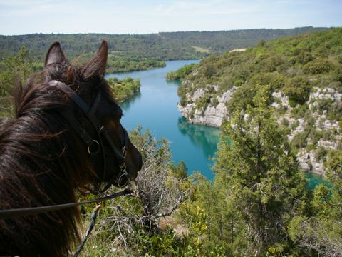 Camping le Domaine de Chanteraine   - Camping Var - Image N°54