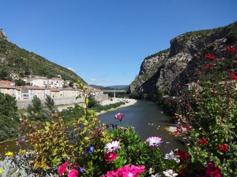 Flower Camping Les Fauvettes - Camping Gard - Image N°15