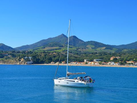 Camping Le Méditerranée Argelès - Camping Pyrénées-Orientales - Image N°33