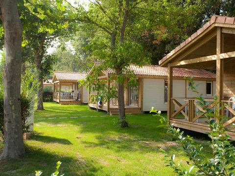 Camping Le Méditerranée Argelès - Camping Pyrénées-Orientales - Image N°28