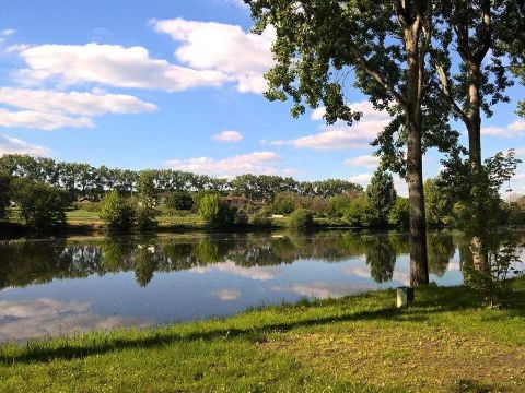 Camping Les Bö-Bains  - Camping Dordogne - Image N°25