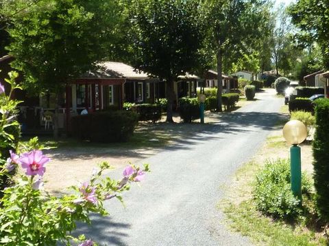 Camping Les Bö-Bains  - Camping Dordogne - Image N°36