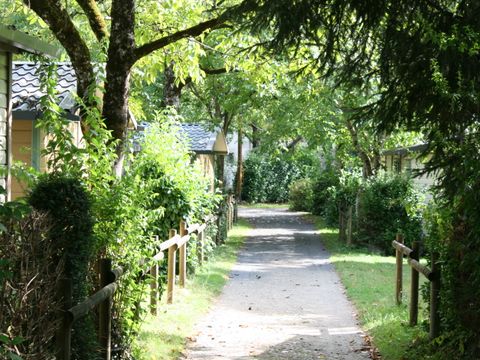 Camping Au Soleil d'Oc - Camping Corrèze - Image N°60