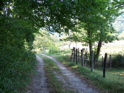 Camping Au Soleil d'Oc - Camping Corrèze - Image N°71