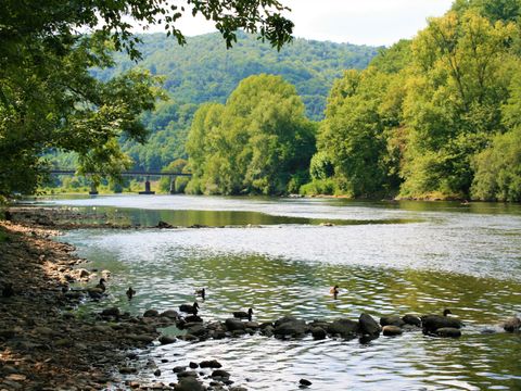 Camping Au Soleil d'Oc - Camping Corrèze - Image N°59