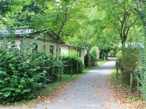 Camping Au Soleil d'Oc - Camping Corrèze - Image N°63