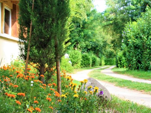 Camping Au Soleil d'Oc - Camping Corrèze - Image N°56