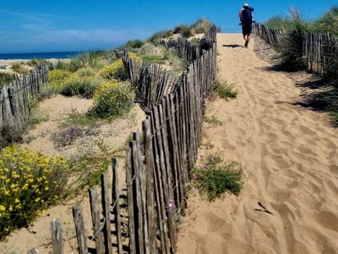 Camping Le Mas des Lavandes - Camping Hérault - Image N°94