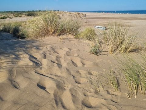 Camping Le Mas des Lavandes - Camping Hérault - Image N°95