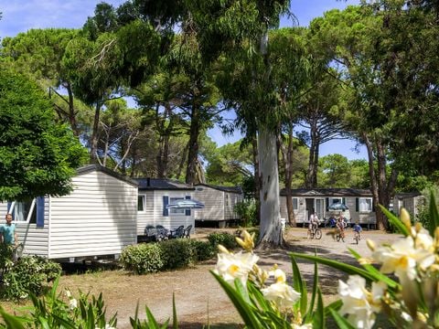 Camping Domaine d'Anghione - Camping Northern Corsica - Image N°26