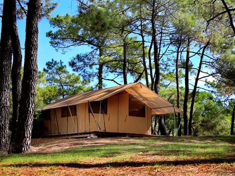 Camping La Tamarissière - Camping Hérault - Image N°24