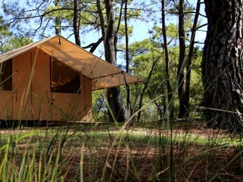 Camping La Tamarissière - Camping Hérault - Image N°25