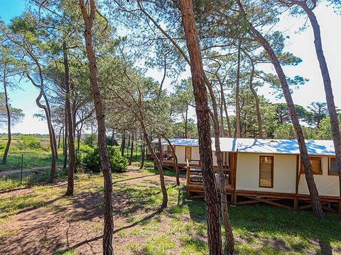 Camping La Tamarissière - Camping Hérault - Afbeelding N°4