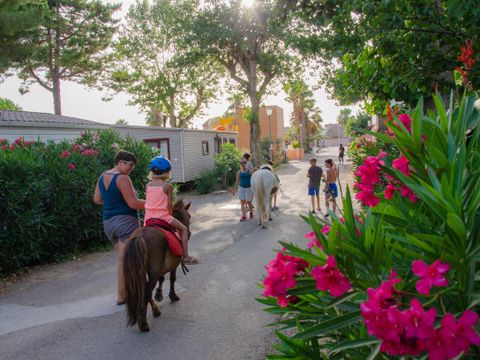 Camping les Jardins d'Agathe ****  - Camping Hérault - Image N°40