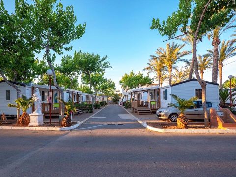 Camping Playa Tropicana - Camping Castellón - Image N°19