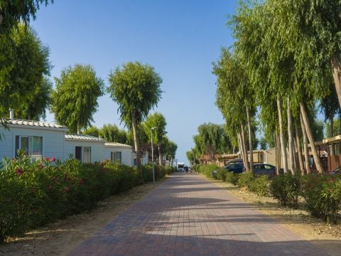 Camping Village Laguna Blu - Camping Sassari - Image N°47