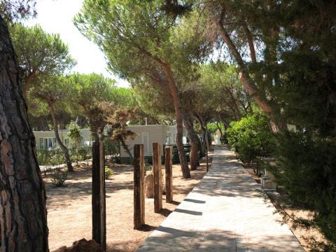 Camping Torre del Porticciolo - Camping Sassari - Image N°126