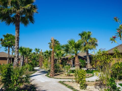 Camping Alannia Costa Blanca - Camping Alicante - Afbeelding N°0