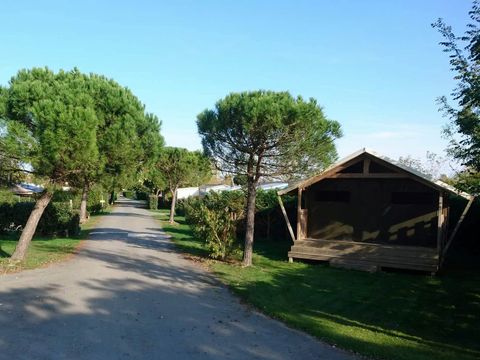 Camping Le Port de Moricq - Camping Vendée - Image N°24