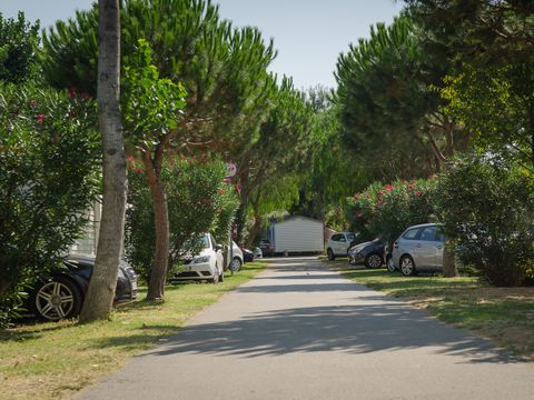 Camping la Plage Argelès - Camping Pyrénées-Orientales - Afbeelding N°4