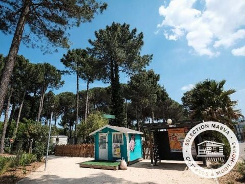 Camping Taxo les Pins  - Camping Pyrénées-Orientales - Image N°39