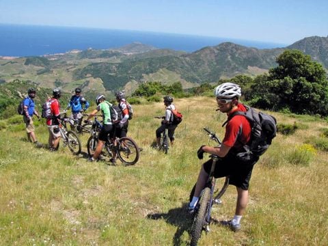 Camping Le Bois de Valmarie - Camping Pyrénées-Orientales - Image N°32