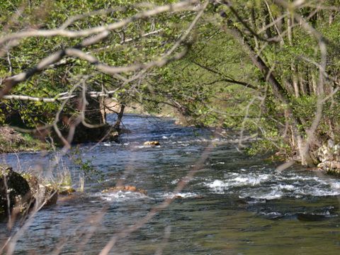 Camping Le Viaduc - Camping Ardèche - Image N°22