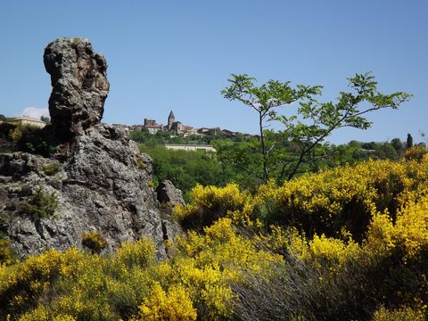 Camping Le Viaduc - Camping Ardèche - Image N°45