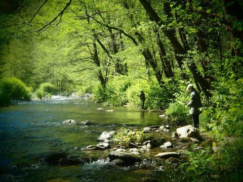 Camping Le Viaduc - Camping Ardèche - Image N°25