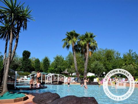 Camping Les Salisses  - Camping Hérault - Image N°10