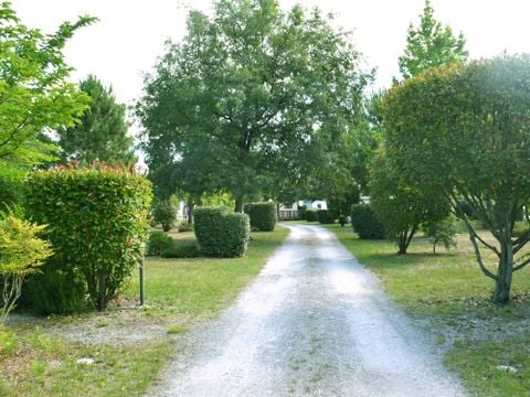 Camping Le Braou - Camping Gironde - Image N°15