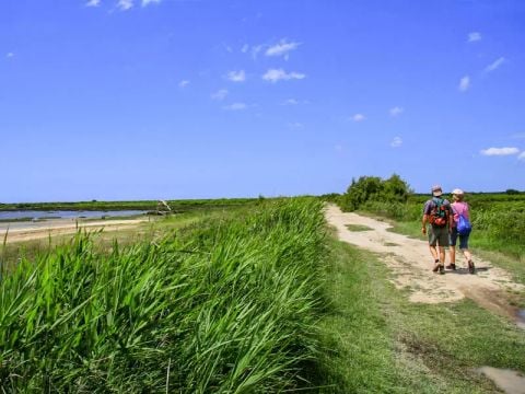 Camping Le Braou - Camping Gironde - Image N°26