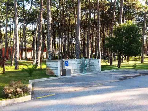 Camping Vagueira - Camping Cental Portugal  - Image N°21