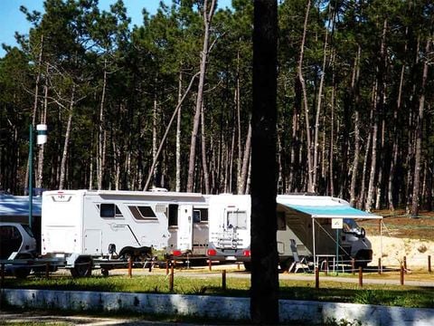 Camping Vagueira - Camping Cental Portugal  - Image N°25