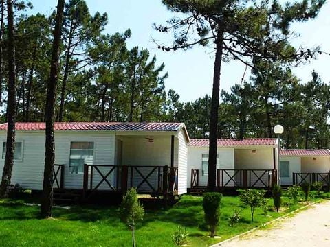 Camping Vagueira - Camping Cental Portugal  - Image N°22