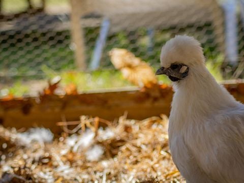 HÉBERGEMENT INSOLITE 2 personnes - Cabane pilotis