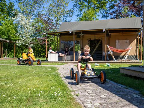 Camping Scheldeoord - Camping Borsele - Image N°36