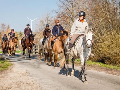 Camping Domaine du Lieu Dieu - Camping Somme - Image N°9