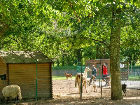 Camping Le Ruisseau  - Camping Pyrénées-Atlantiques - Image N°19