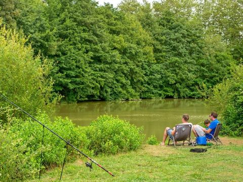 Camping Le Ruisseau  - Camping Pyrénées-Atlantiques - Image N°20