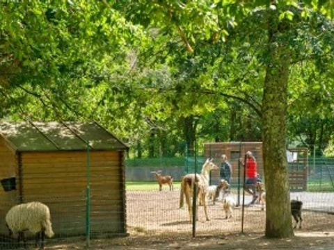 Camping Le Ruisseau  - Camping Pyrénées-Atlantiques - Image N°47