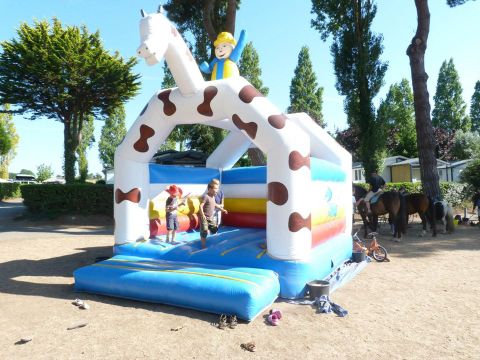 Camping Le Panoramic - Camping Côtes-d'Armor - Image N°31