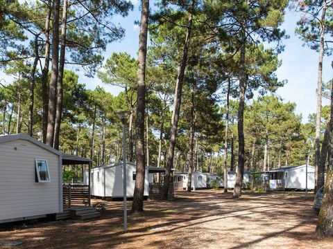 Camping Campéole Le Vivier - Camping Landes - Image N°71