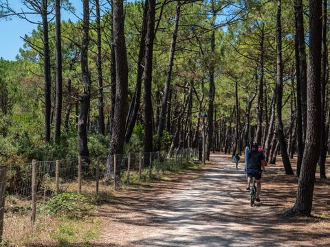 Camping Campéole Le Vivier - Camping Landes - Image N°25