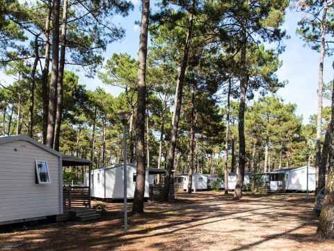 Camping Campéole Le Vivier - Camping Landes - Image N°73