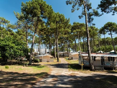 Camping Campéole Plage Sud - Camping Landes - Image N°75