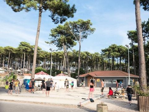 Camping Campéole Plage Sud - Camping Landes - Image N°8